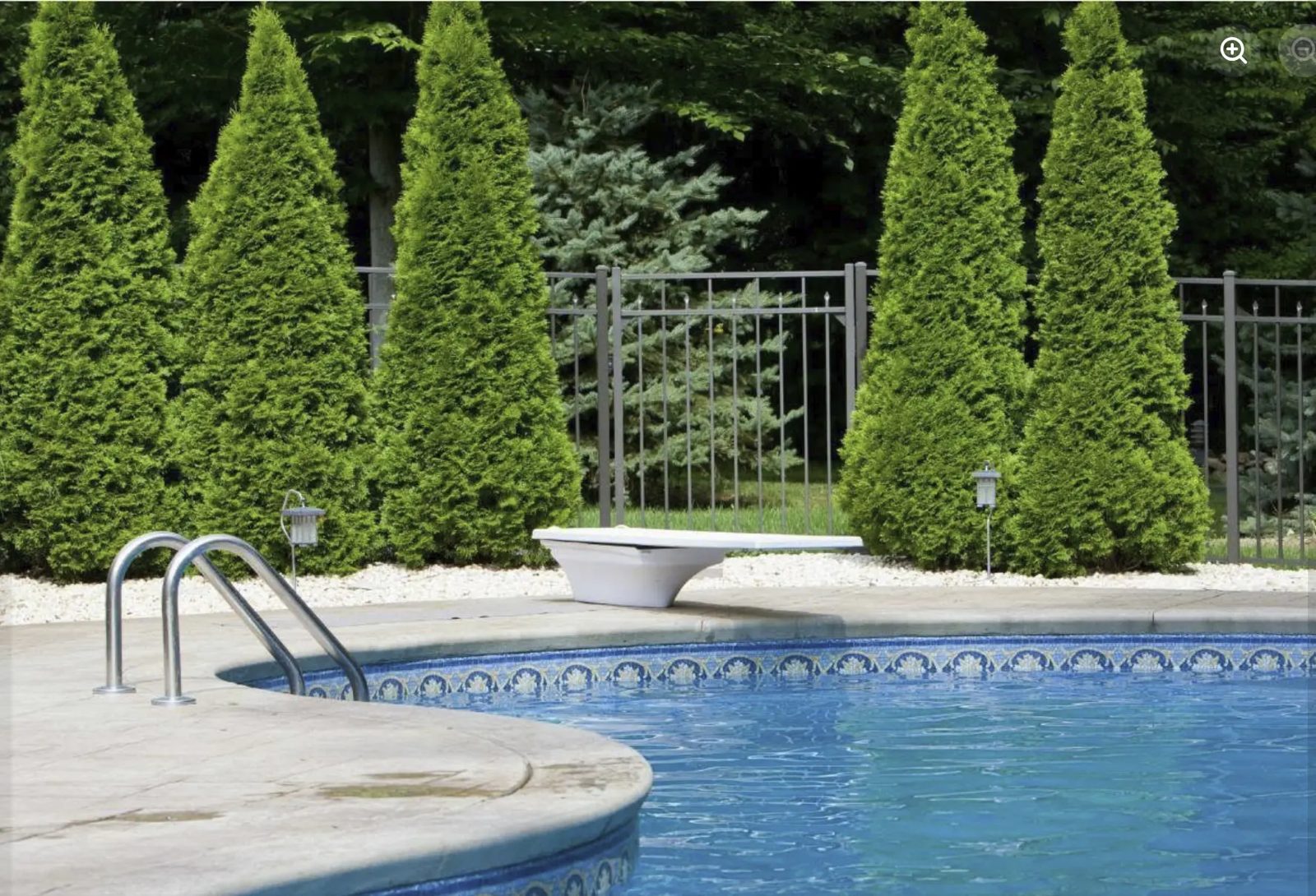 Clean backyard pool with a diving board bordered by trimmed hedges